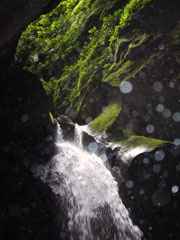 Gorges de la Falaise