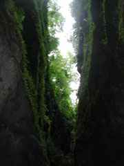 Gorges de la Falaise